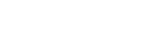 有限会社もち平